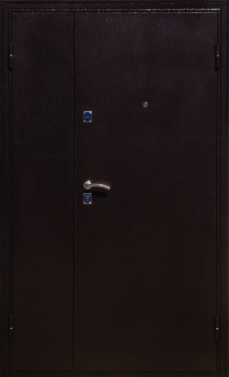 Дверь входная металлическая двупольная металл/металл
