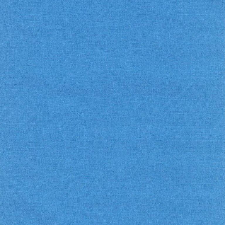 Пленка ПВХ ALKORPLAN 2000 голубая (рулон 1,65х25 м). Ренолит пленка ПВХ. Пленка ALKORPLAN 200 25*1,65м. Сертификат на плёнка ПВХ RENOLIT "ALKORPLAN 1000 Adriatic ". Пленка пвх голубой