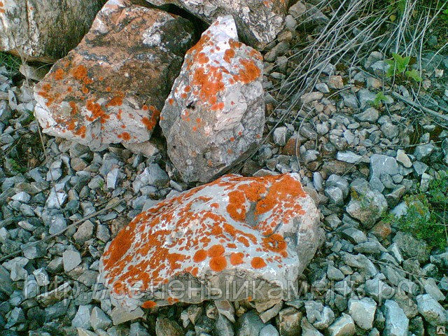 Камень дикий с оранжевым мхом для ландшафтных горок и водоемов.