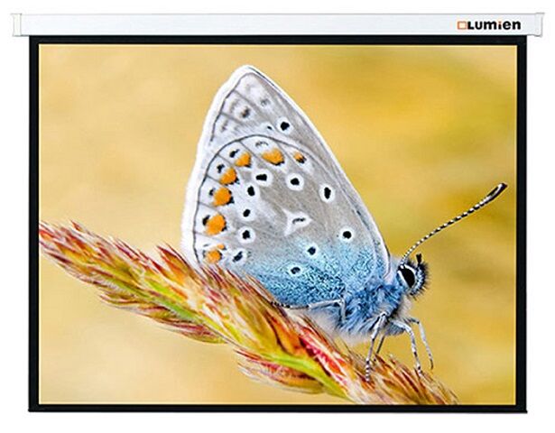 Проекционный экран Lumien Master Picture 259x400 см (LMP-100126)