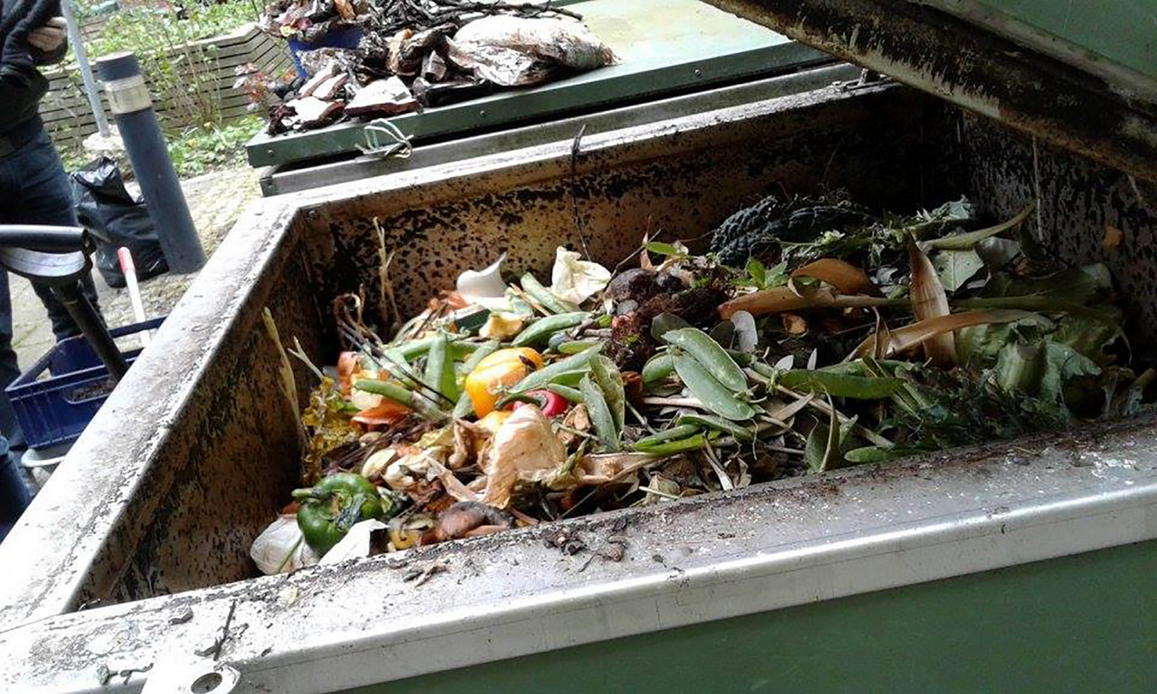 Пищевые отходы утилизация. Пищевые отходы. Переработка пищевых отходов.